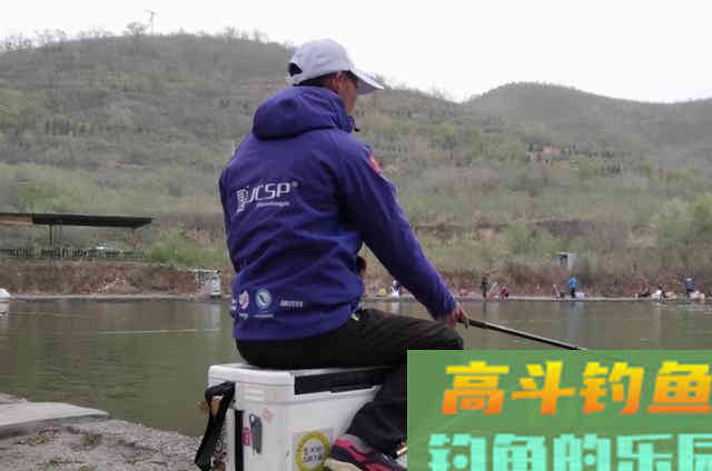 有鱼不吃饵那是你的不对，新钓手：你在教我做事