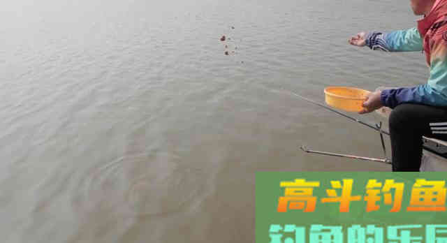 窝里没有鱼，钓技再高也白搭，教你如何搭配窝料