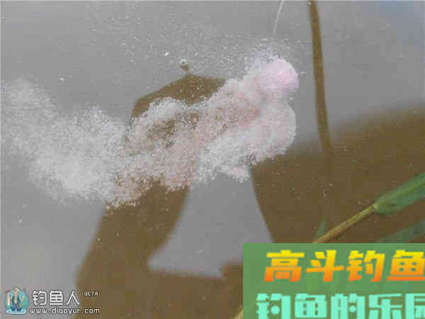 钓鱼时饵料如何控制雾化应对鱼情