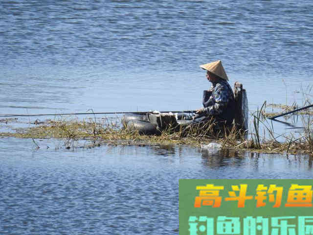 判断窝子里有没有鱼，这3个方法教会你