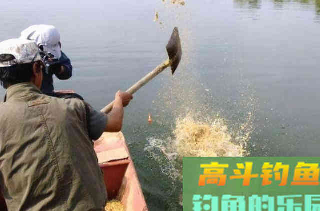老司机道破打完窝后，半天都没鱼咬钩的原因