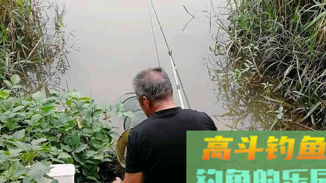 你比大爷钓鱼差的可能并不是钓技钓法