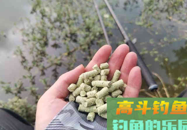 天气闷热鱼不开口咋办？试试这几招
