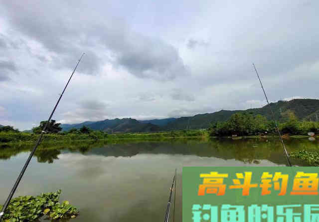 老手一根竿、新手摆地摊？错！把鱼钓上来才是王道
