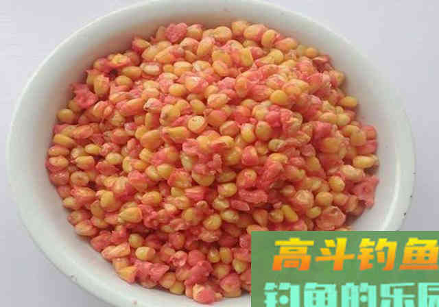 两用型窝料配方分享，针对鲤鱼和草鱼，可打窝可钓鱼