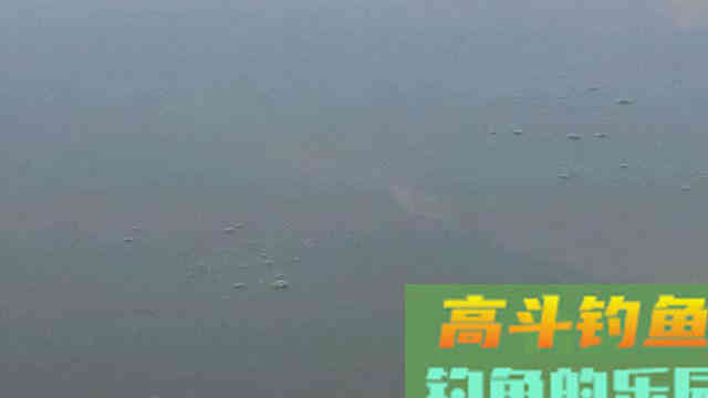 水底有鱼星就是不吃钩？大概率这个原因害的