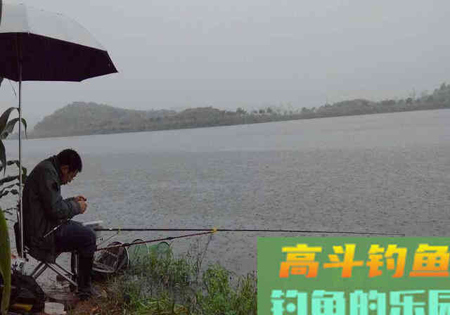饵料厂离职员工，酒后吐露商品窝料配方