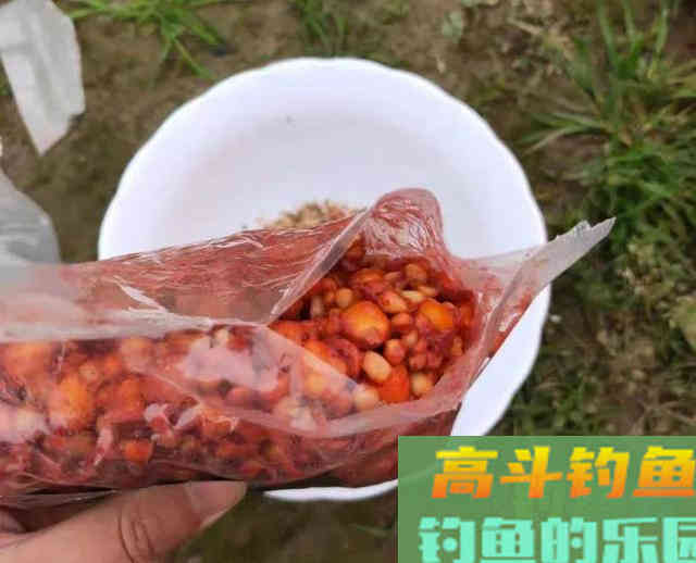 螺鲤加上918,夏季钓鲤鱼就这样开饵 螺鲤加上918,夏季钓鲤鱼就这样开饵