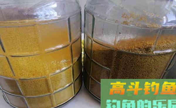 找好用的酒米难？从2款自制药米，发现3种用法能上鱼更多