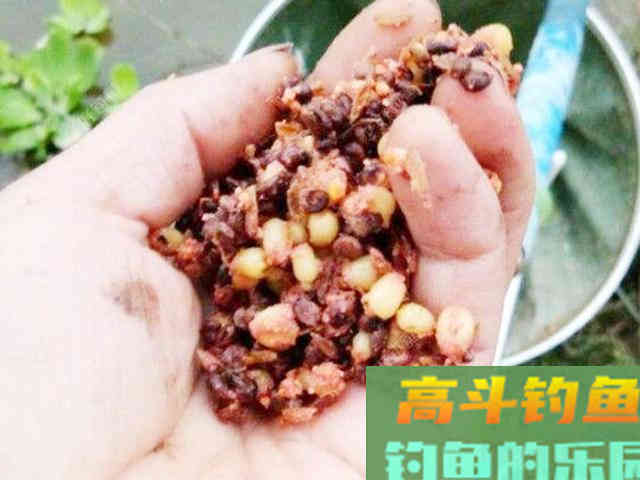 河边钓鱼请远离新手钓友，不然你会吃大亏