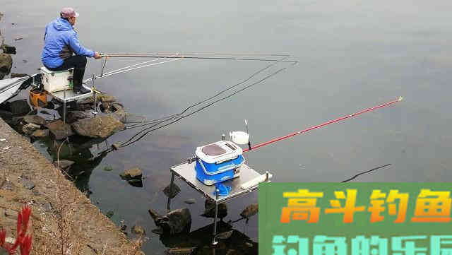 窝子里明明有鱼泡，但就是不见鱼咬钩