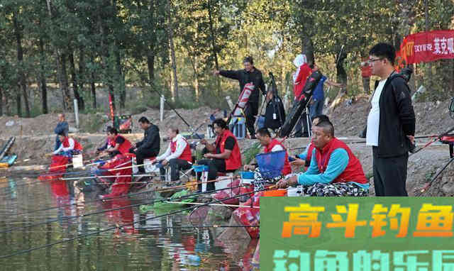 黑坑钓鲤鱼饵料该如何搭配?散炮又该如何开制呢 黑坑钓鲤鱼饵料该如何搭配?散炮又该如何开制呢