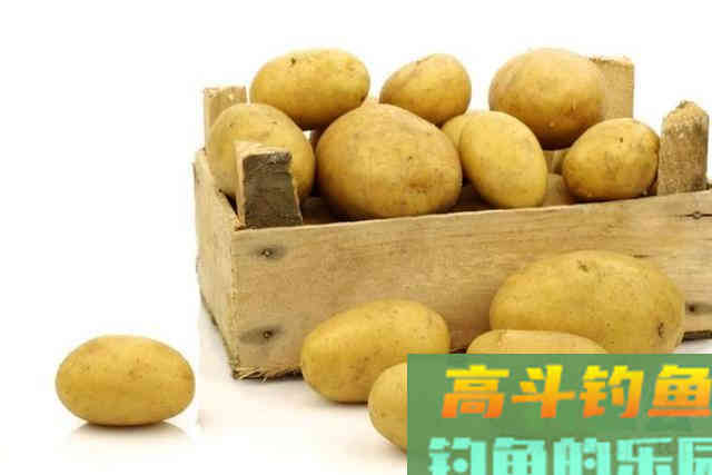 正式确认，这才是诱钓大草鱼的高效饵