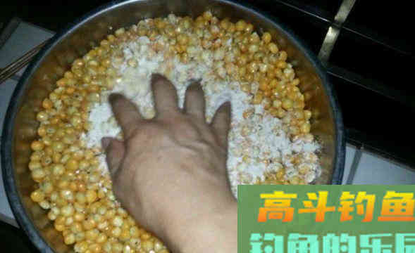 钓大水面，还得是自制的老坛玉米，大鲤大草不停口