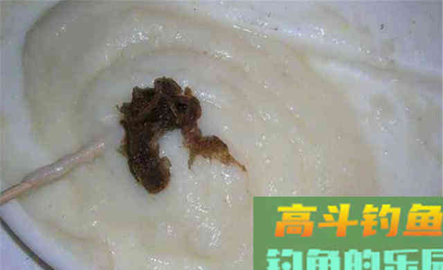 晚秋钓大鲫，什么饵料都不如米饭