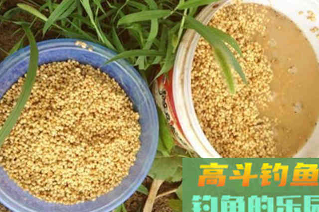 气温低，诱鱼速度不够快？试试这3大打窝绝技