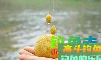 垂钓中选择使用商品饵料的技巧分析