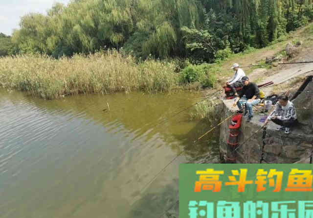 大鱼都跑到浅水了，你还守着深水能有好鱼获吗