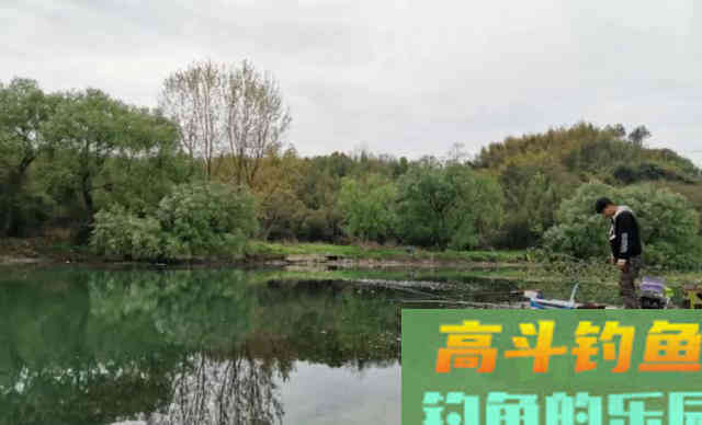 窝里没有鱼，钓技再高也白搭，教你如何搭配窝料