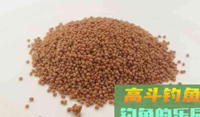 黑坑钓鲤鱼饵料该如何搭配?散炮又该如何开制呢 黑坑钓鲤鱼饵料该如何搭配?散炮又该如何开制呢