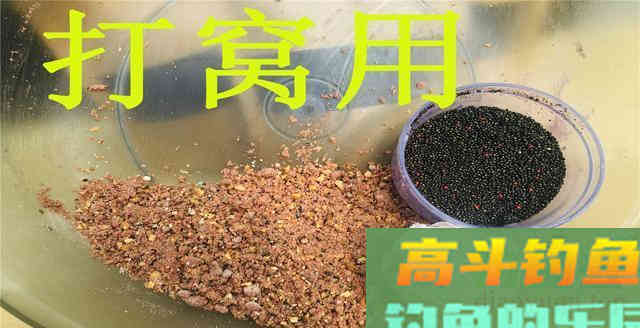 钓鱼米只打窝你就out了，掌握其它用法，提升渔获并不难