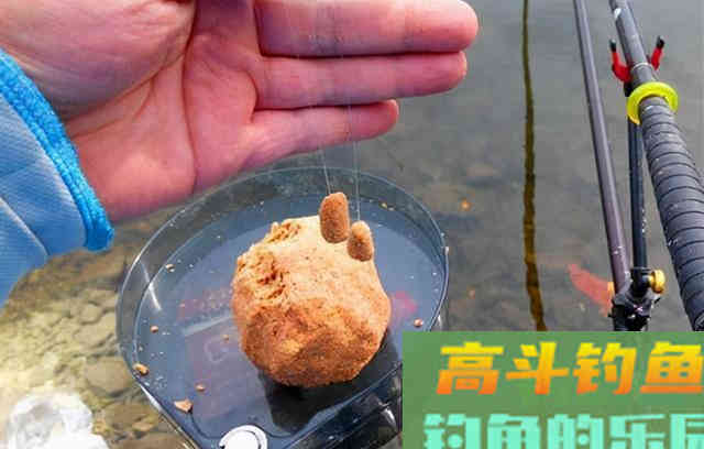 春季钓鱼，饵料除了浓、熟、活，还有一点最重要