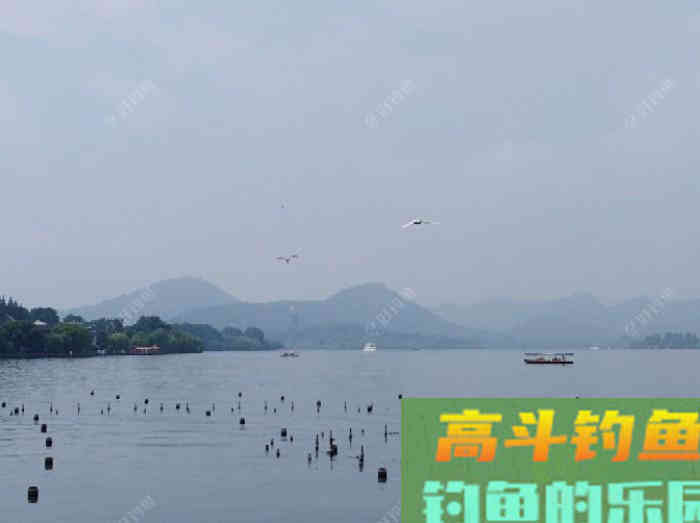 购买和使用商品饵时一定要注意的安全问题