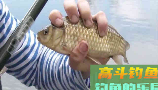 冬季使用红虫钓鱼，我有7条建议送钓友