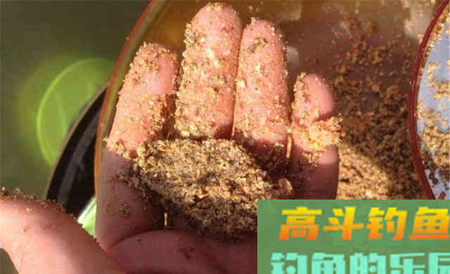 冬季钓鱼，上几条鱼就停口？是打窝之后少了一步