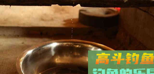 菜籽饼不脱毒打窝不能用吗