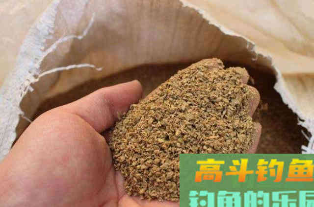 三十年老钓手口出狂言：小药再好也不换这鲤鱼饵