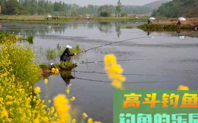 要钓到鱼什么重要呢钓位？钓位，诱鱼？，这点才关键