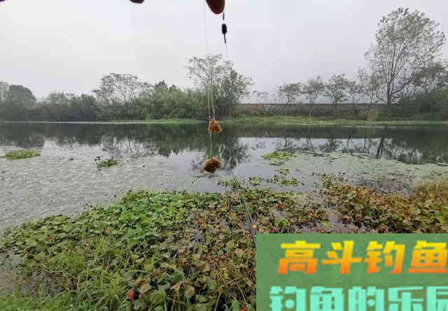 大鱼都跑到浅水了，你还守着深水能有好鱼获吗