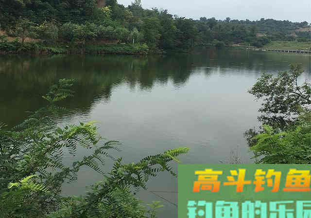 鱼吃得比人都好，为何还是钓不到鱼