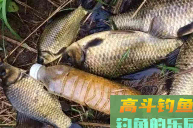一旦有水流，我用这3招来应对
