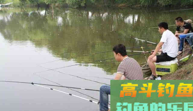 钓鱼用什么颜色的酒米？很多人都错了