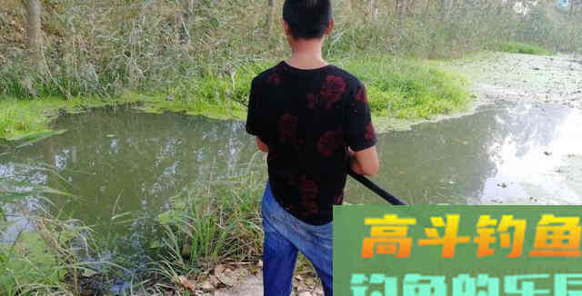 春季野钓用饵有妙招，这招用得好，不愁没渔获