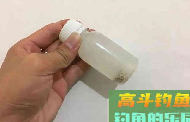 盘点6种重口味饵料，看起来恶心但鱼儿却十分喜爱