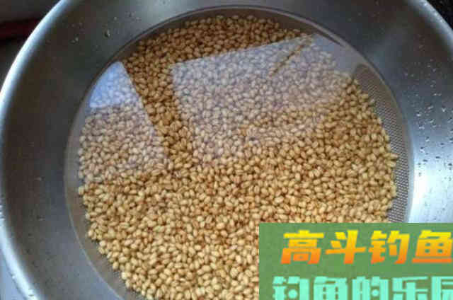 这5种特效饵专攻板鲫，试过的人绝非等闲之辈