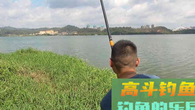 盘点几种夏天野钓的天然重窝，不用打窝直接钓