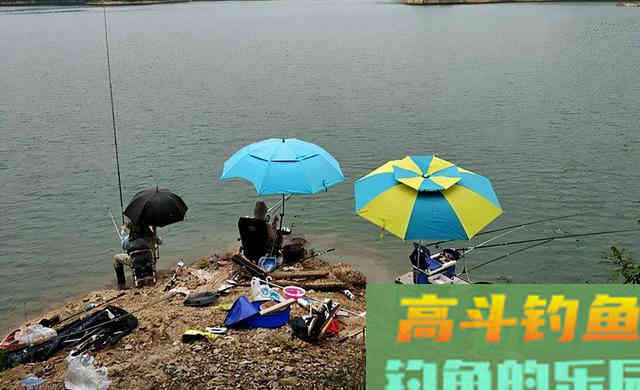 浮漂下顿一目就不动了，提竿却没鱼