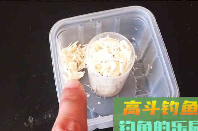 冬季用此饵，也能钓出红虫的感觉