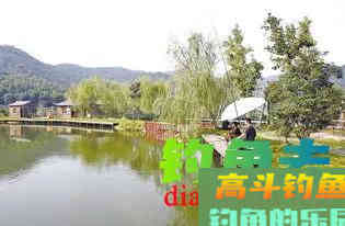 清明用蚯蚓钓鱼，2种状态要格外区分；不然，鱼会光吃窝料不咬钩