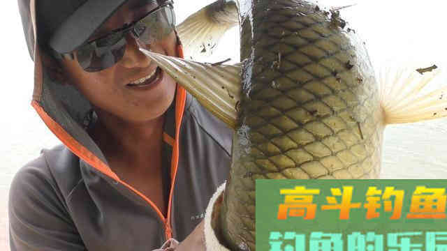 浅谈野钓慢窝：诱鱼虽慢但是个头很大，配套玩法分享