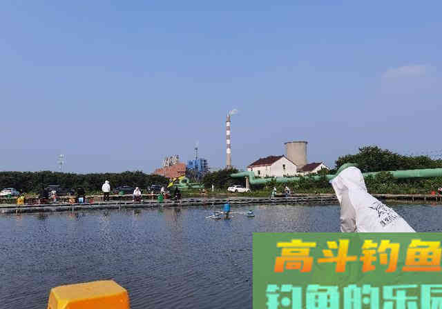 钓鱼线组不重要？老钓鱼人实际垂钓告诉你