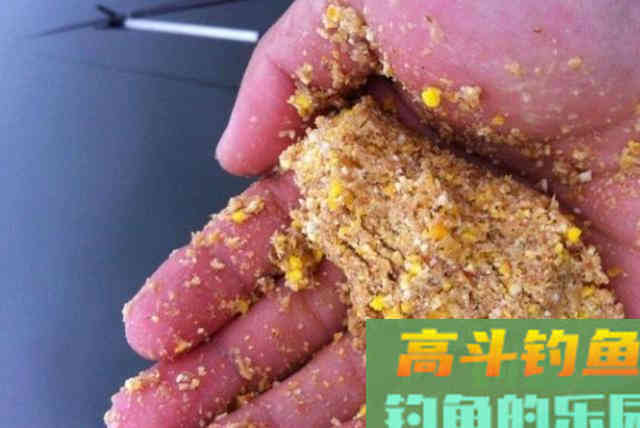 钓了三十年鱼这诱鱼“八字诀”简单又实用