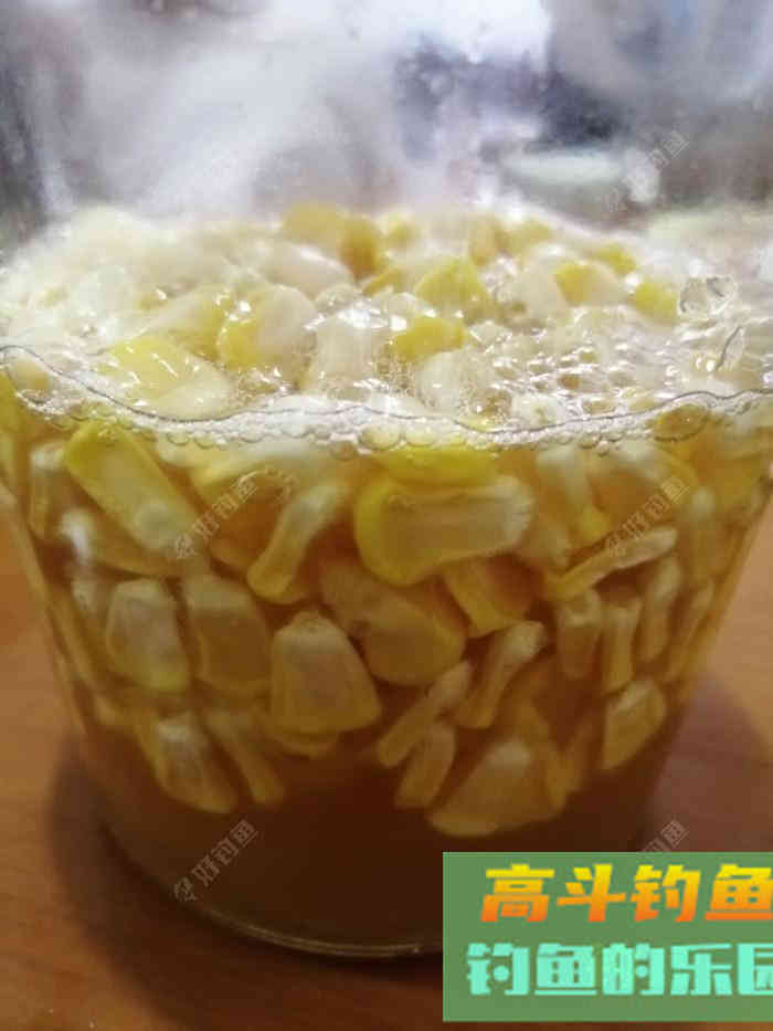 自制天然素饵（全集）钓鱼效果不错
