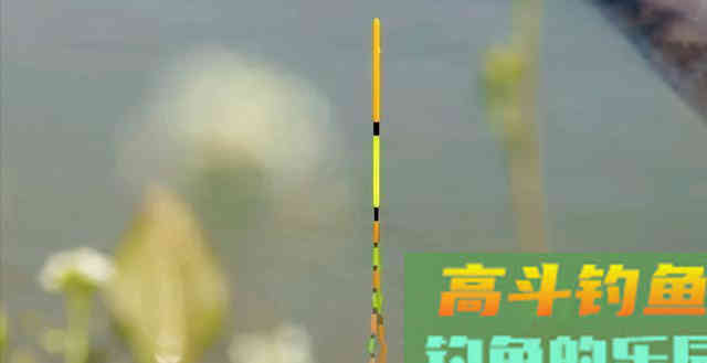 钓友问：为啥用红虫一条接一条，用饵料钓不到鱼