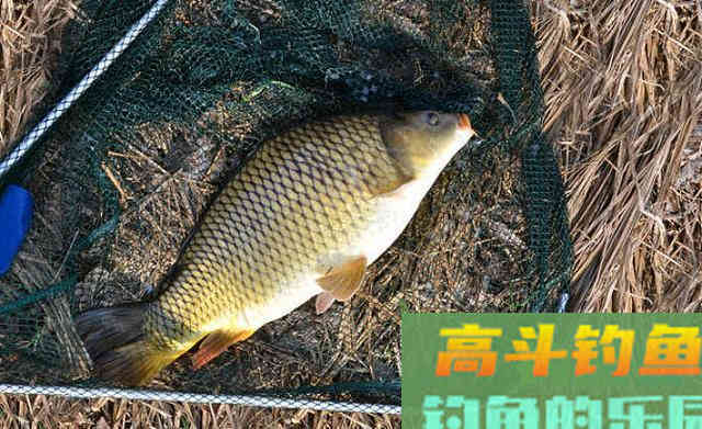 粗线真的挡口吗？了解这4点，为你揭开挡口是否存在