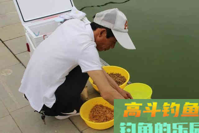 配饵之前，先搞明白什么是基础饵
